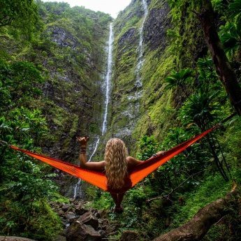 Solo Traveler