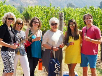 Napa Valley Wine Tour review