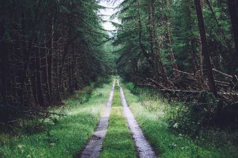 Off the Beaten Path Travel