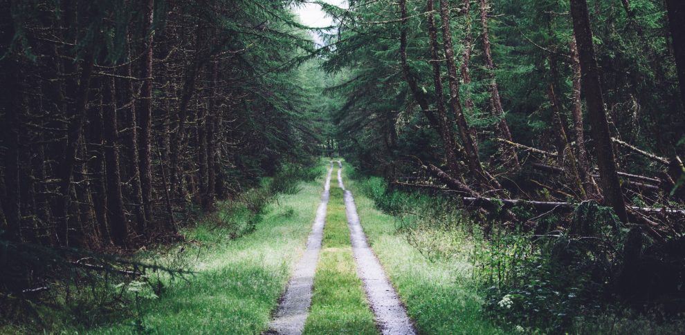 Off the Beaten Path Travel