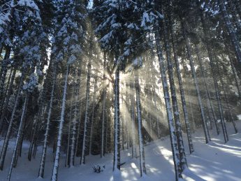 Best Places to Travel in December