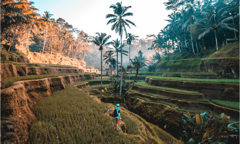 off the beaten path 4