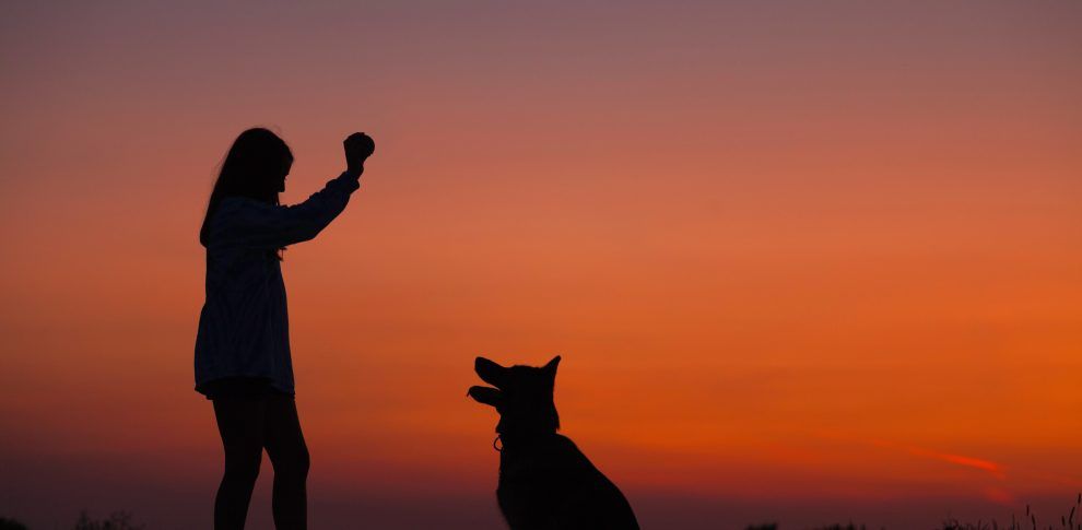 Dog Friendly Vacations